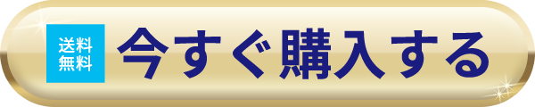送料無料 今すぐ購入する