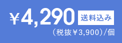 4,290円 送料込み