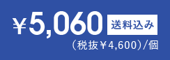 5,060円 送料込み
